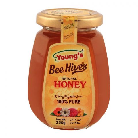 Youngs Bee Hives Honey Btl 250g